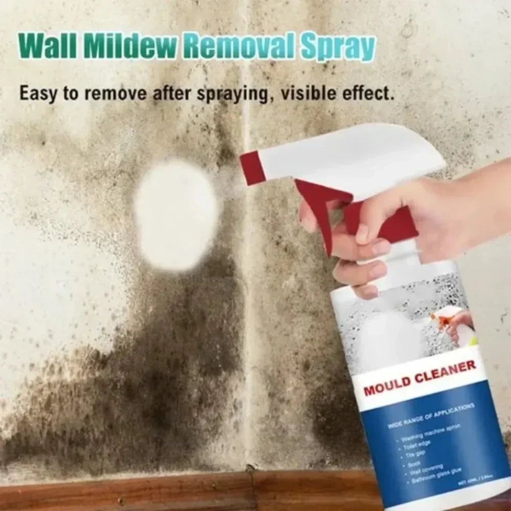 MoldMaster Wall Joint Foam - Household Mold Remover for Effortless Cleanup