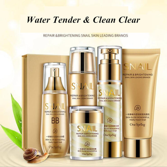 Brand SNAIL Face Care Skin Makeup Set