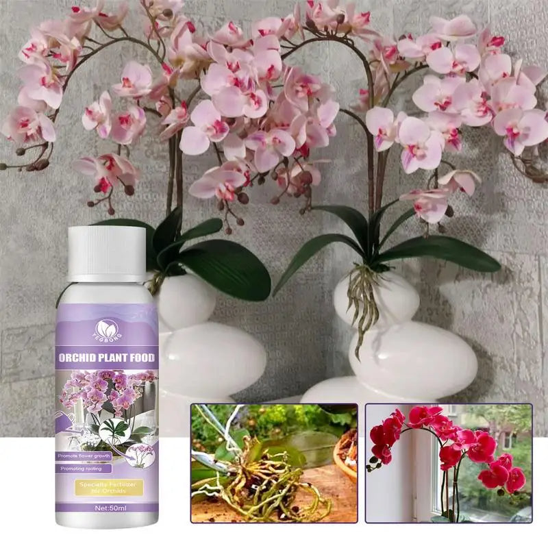 Orchid Liquid Fertilizer Agent Supplement Plant Roots