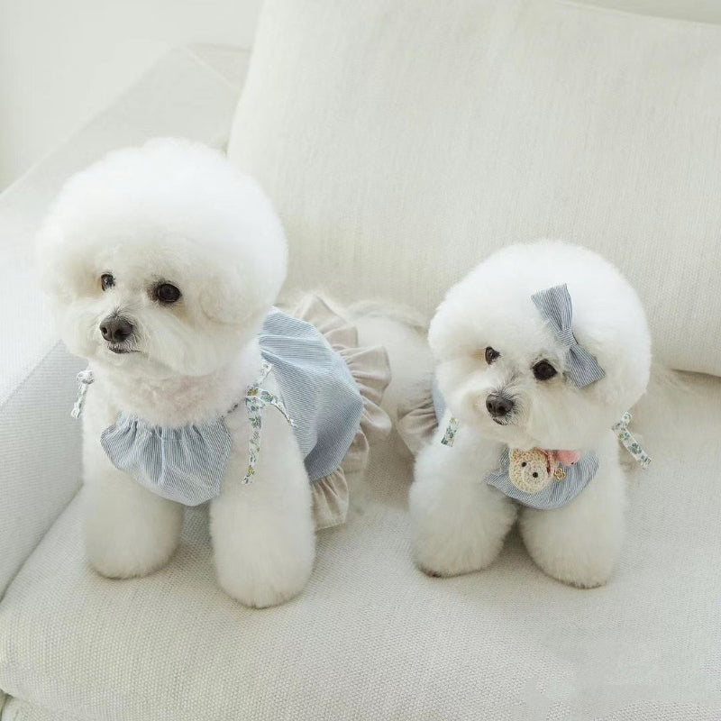 Cute Thin Summer Blue Fashion in Girl Dog