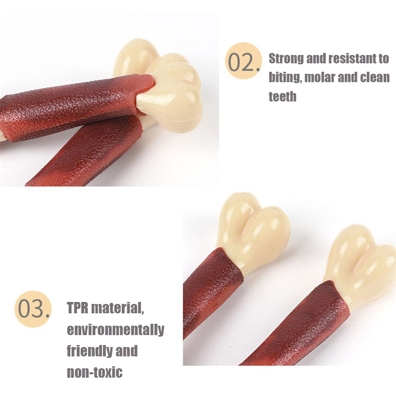 Nylabone Chew & Treat Toy for Dogs