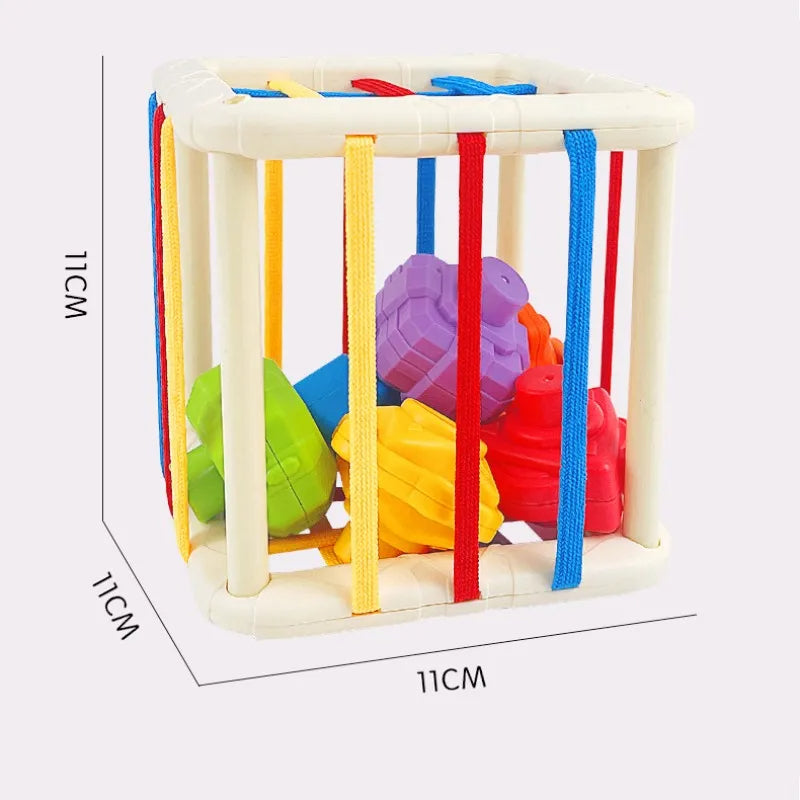 Infant Color Shape Cognitive Grip Training Educational Dinosaur Toys for Babies