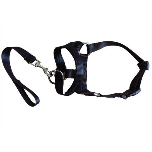 Pet Dog Head Halter Halti Training Collar Stop Pulling Gentle Harness