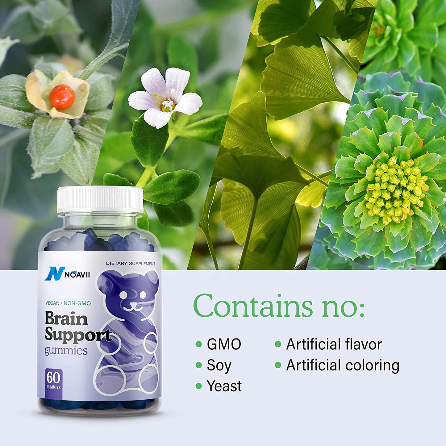 Private Label Support Brain Booster Gummies Natural Nootropic Dietary Supplement