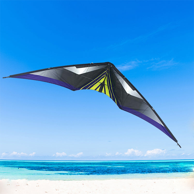 New design cheap double line kite high quality outdoor dual line kite