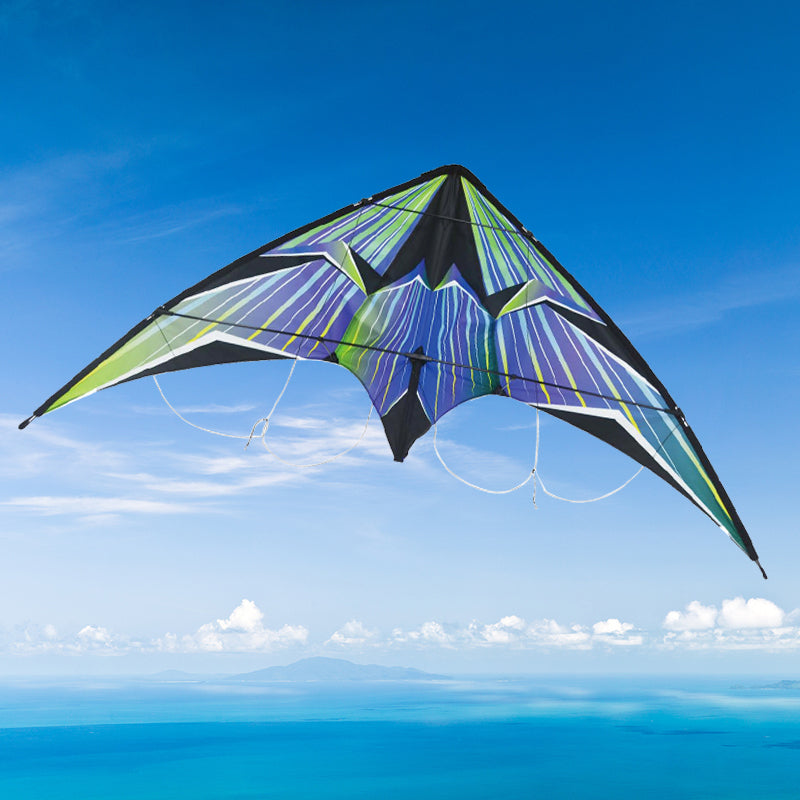 New design cheap double line kite high quality outdoor dual line kite