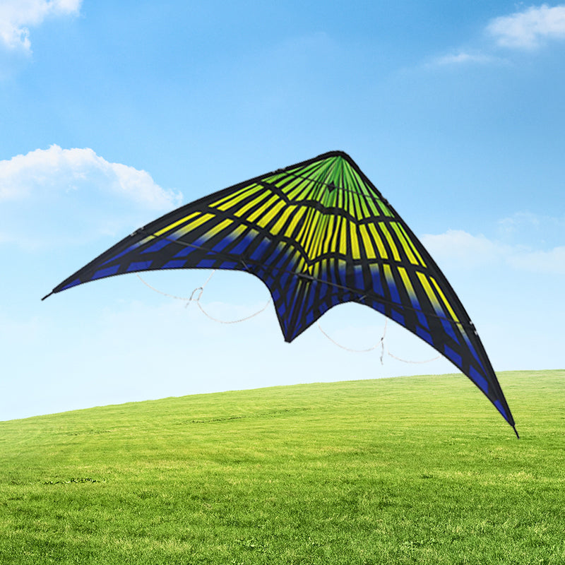 New design cheap double line kite high quality outdoor dual line kite