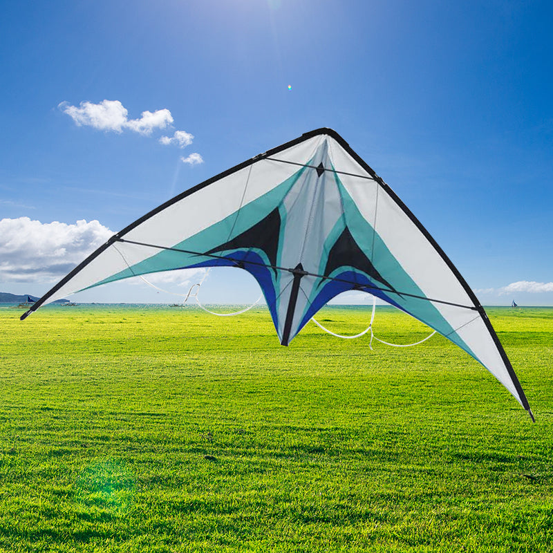 New design cheap double line kite high quality outdoor dual line kite