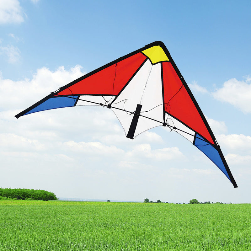 New design cheap double line kite high quality outdoor dual line kite