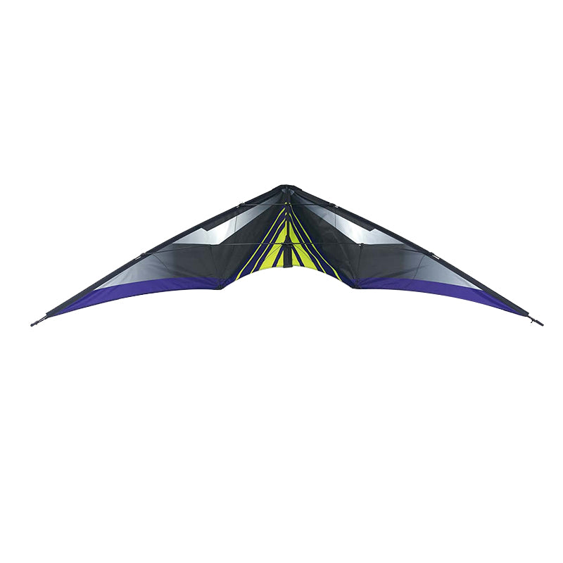 New design cheap double line kite high quality outdoor dual line kite