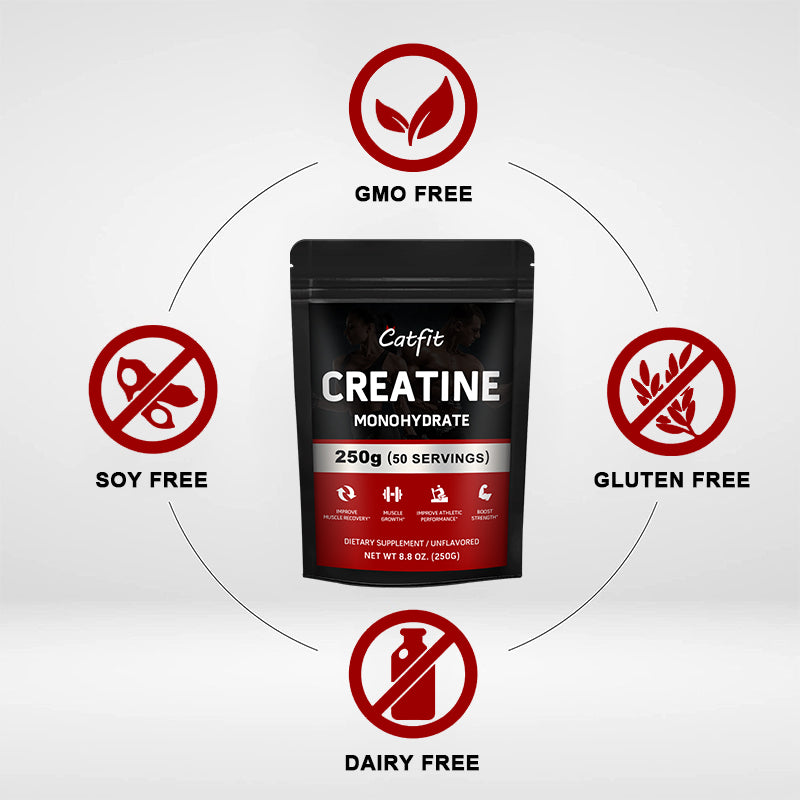 Catfit Creatine Monohydrate Improve Gain Strength Build