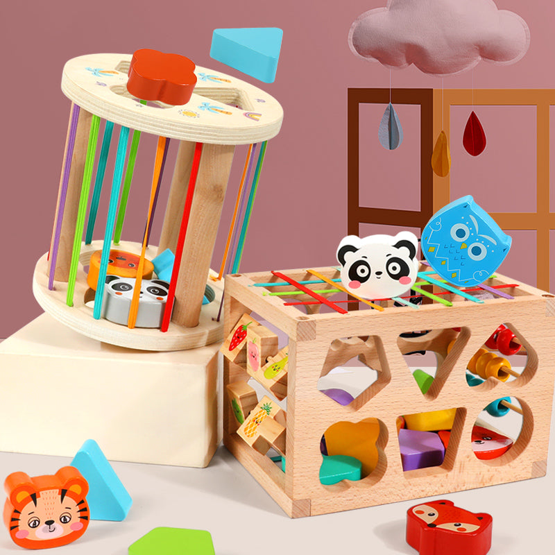 Sorter Toy Rainbow Montessori Wood Learning Games Wooden