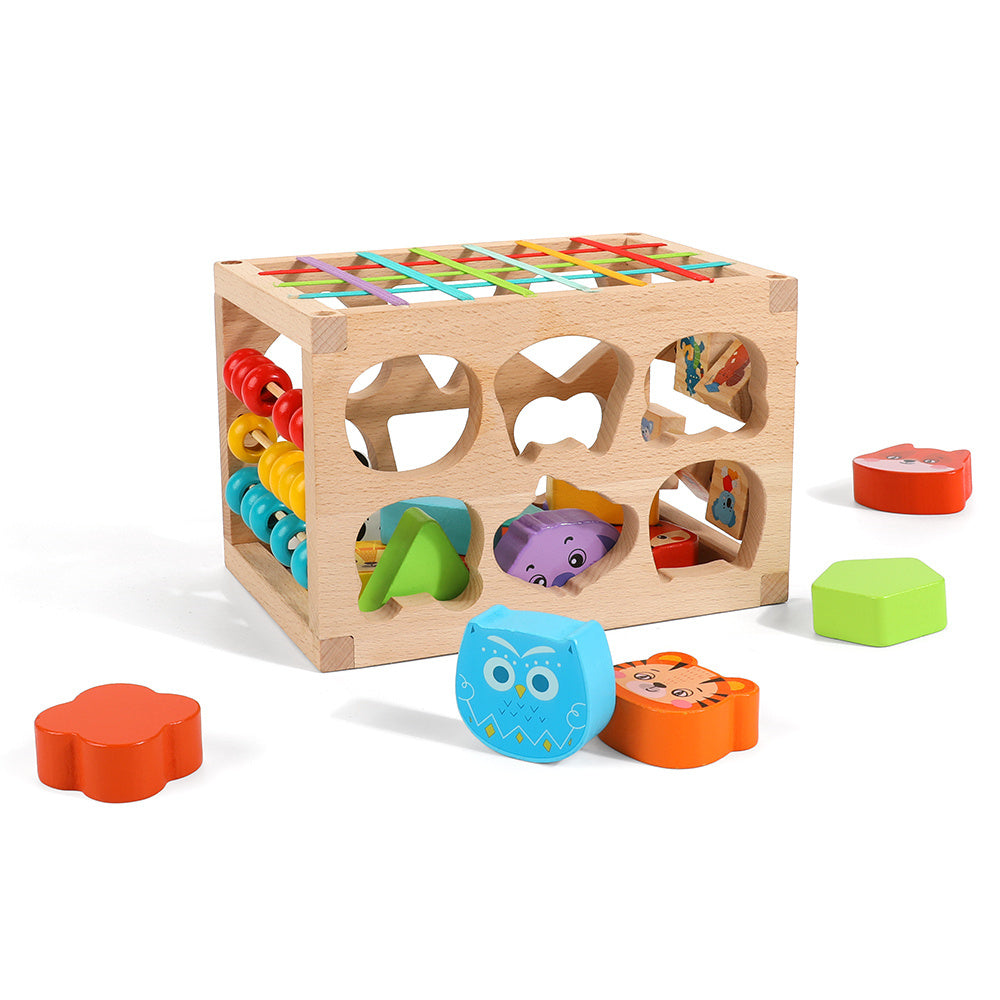 Sorter Toy Rainbow Montessori Wood Learning Games Wooden